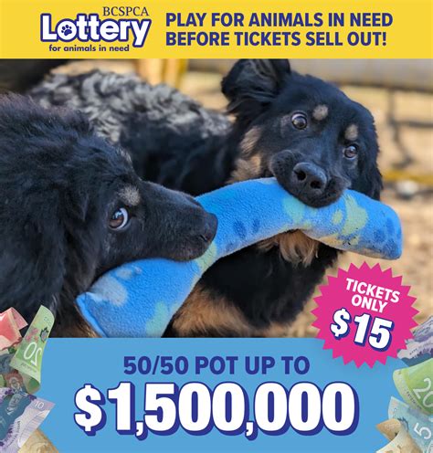 bc spca 50/50|British Columbia .